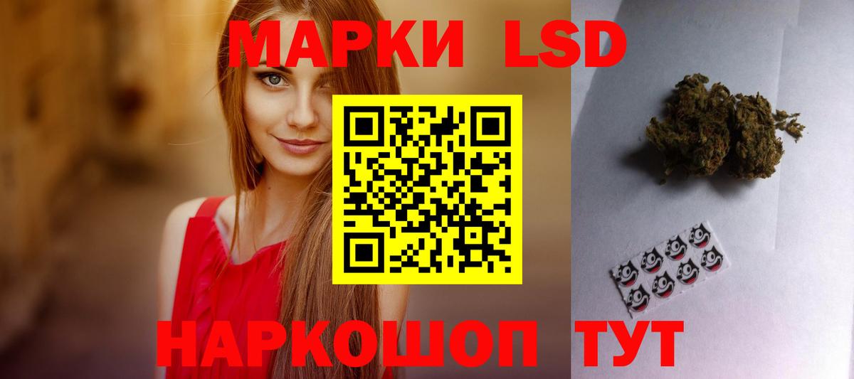 Лсд 25 Клинцы